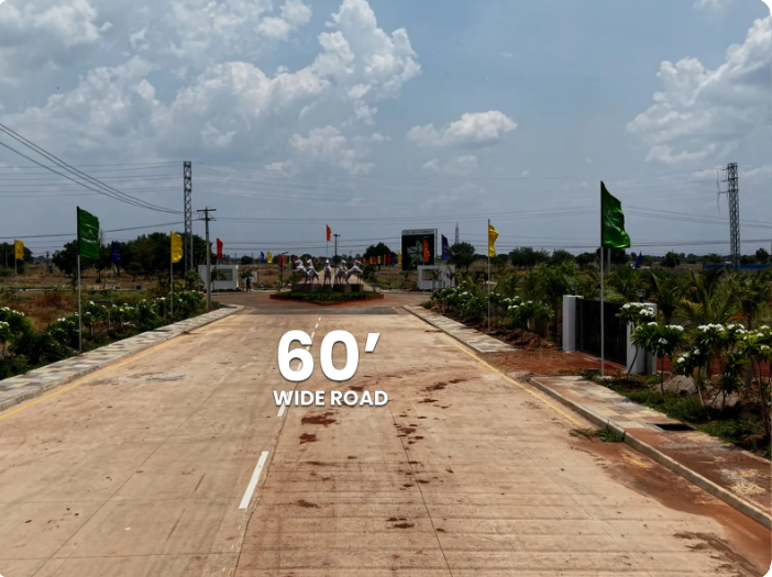 60 Feet Wide Central Entrance Boulevard Road